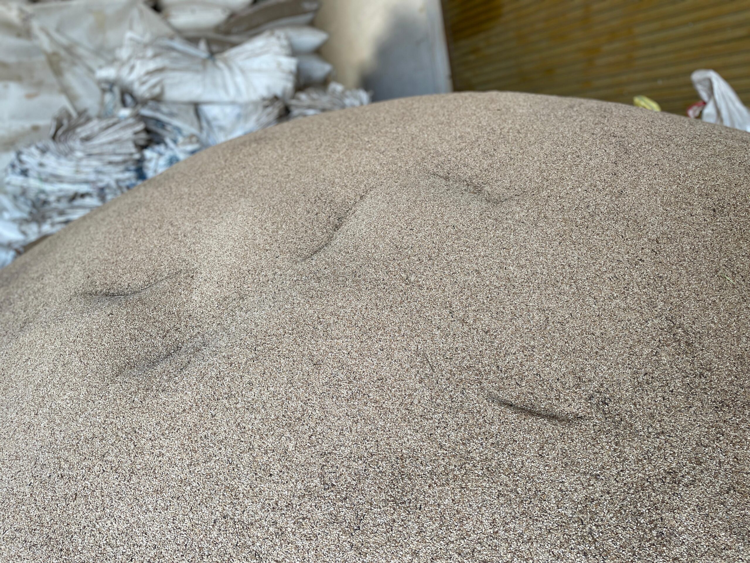 9768f7ee-6b23-40cb-bf52-19fd122d24b3