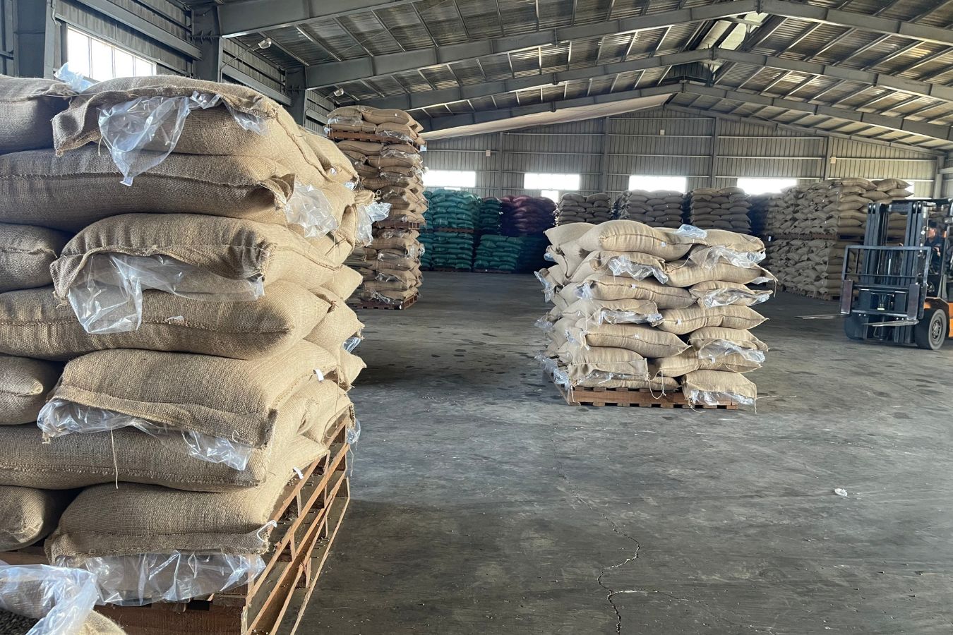 xr:d:DAFdaoVD2NU:4,j:43448743919,t:23031702